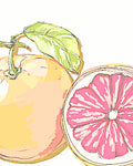 Grapefruit, Organic - EmpireSquid Organics