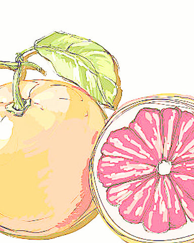 Grapefruit, Organic - EmpireSquid Organics