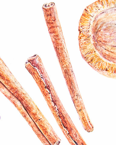 Cinnamon Bark - EmpireSquid Organics
