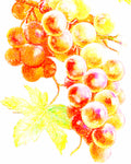Grape Seed Oil - EmpireSquid Organics