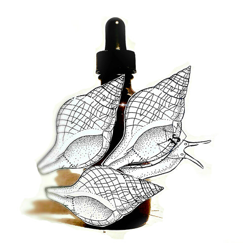Cleansing Oil - EmpireSquid Organics