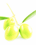 Olive Squalane Oil - EmpireSquid Organics