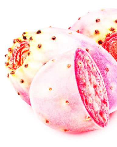 Prickly Pear Seed Oil - EmpireSquid Organics